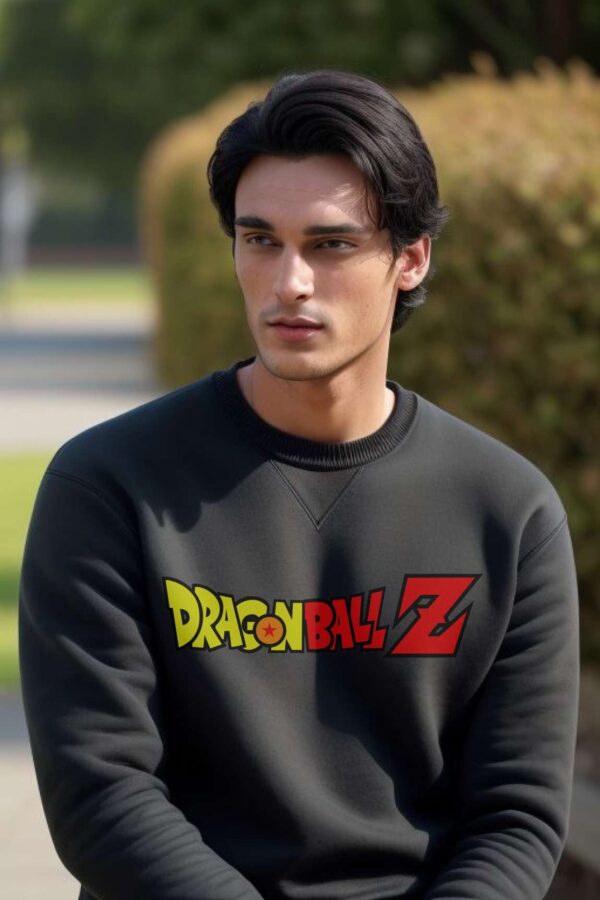 Sweatshirt for men | Dragonballz